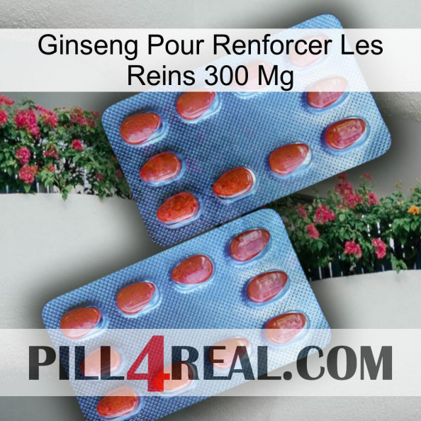 Ginseng For Reinforcing Kidney 300 Mg 05